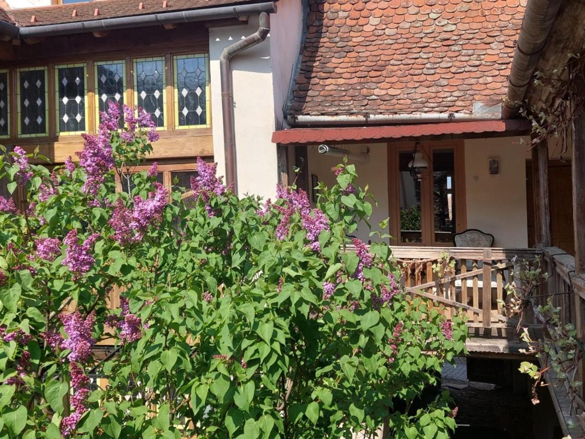 Fronius Boutique Residence Sighişoara Exteriér fotografie