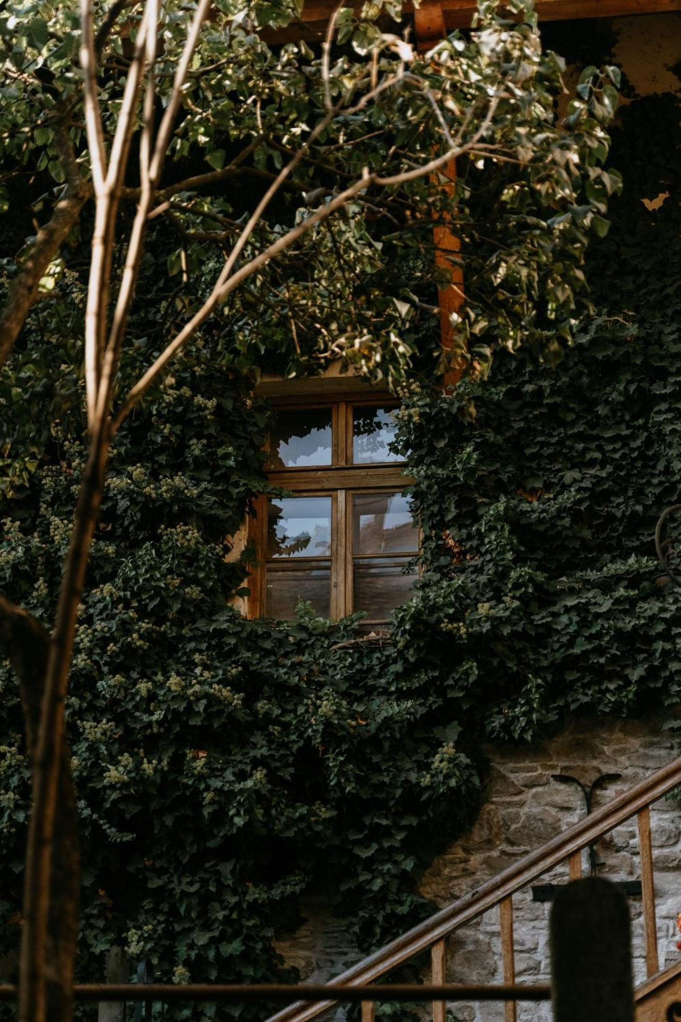 Fronius Boutique Residence Sighişoara Exteriér fotografie